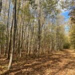 Property photo for land for sale in Hardin County Tennessee