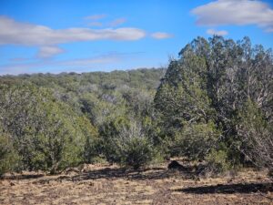 Property photo for land for sale in Coconino County Arizona