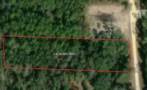 Property photo for land for sale in Dixie County Florida