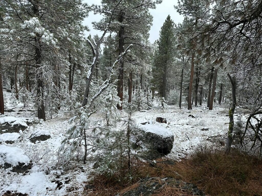 Property photo for land for sale in Harney County Oregon