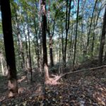 Property photo for land for sale in Bledsoe County Tennessee