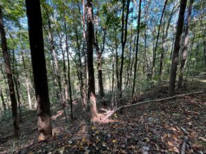 Property photo for land for sale in Bledsoe County Tennessee