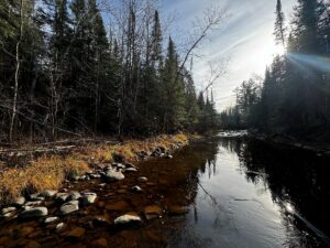 Property photo for land for sale in Douglas County Wisconsin