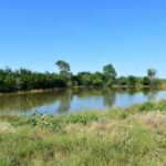 Property photo for land for sale in Young County Texas