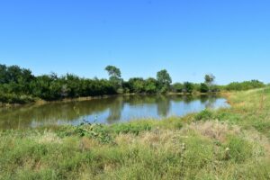 Property photo for land for sale in Young County Texas