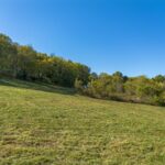 Property photo for land for sale in Maury County Tennessee