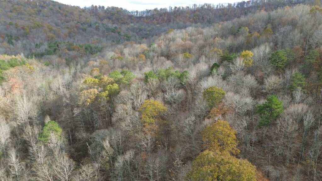 Property photo for land for sale in Whitley County Kentucky