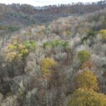 Property photo for land for sale in Whitley County Kentucky