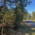 Property photo for land for sale in Pike County Mississippi