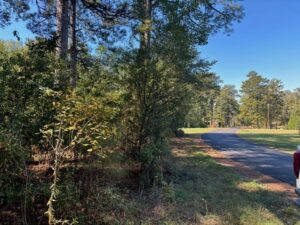 Property photo for land for sale in Pike County Mississippi