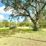 Property photo for land for sale in Lafayette County Florida