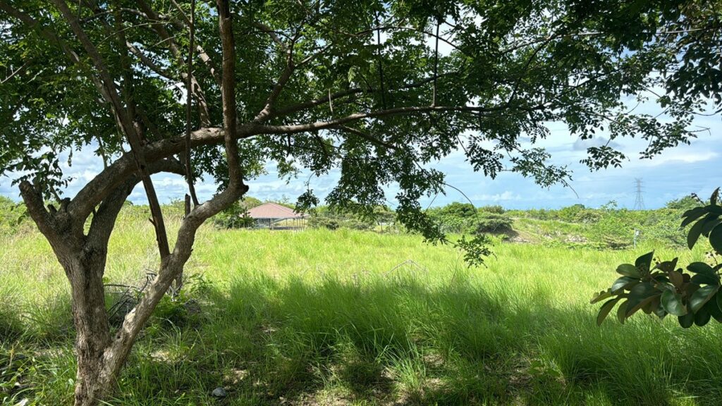 Property photo for land for sale in  County Panama