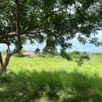 Property photo for land for sale in  County Panama