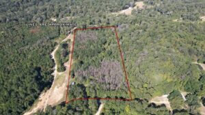 Property photo for land for sale in Wilkinson County Mississippi