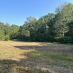 Property photo for land for sale in Wayne County Tennessee