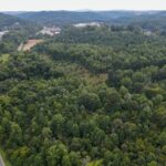 Property photo for land for sale in Henry County Virginia