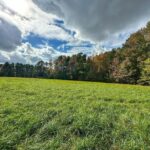 Property photo for land for sale in Mecklenburg County Virginia