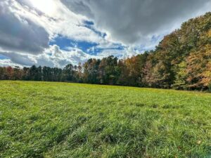 Property photo for land for sale in Mecklenburg County Virginia