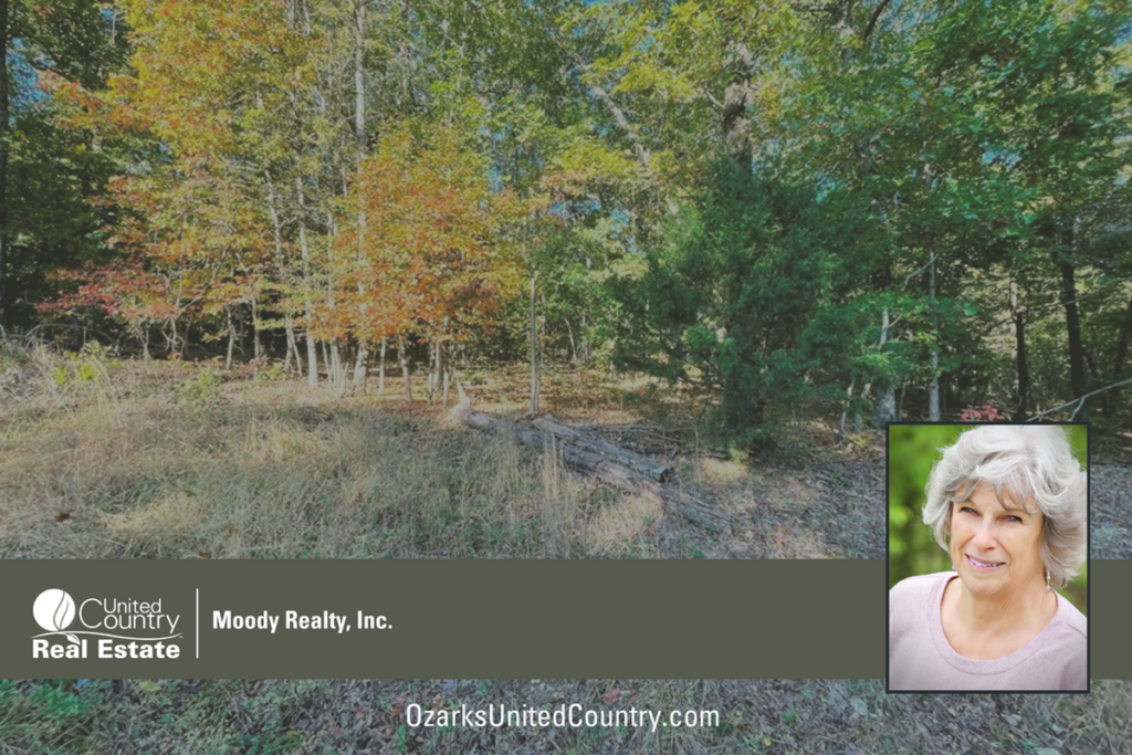 Property photo for land for sale in Izard County Arkansas