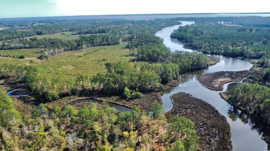 Property photo for land for sale in Pamlico County North Carolina