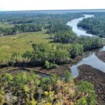 Property photo for land for sale in Pamlico County North Carolina