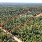 Property photo for land for sale in Cass County Texas