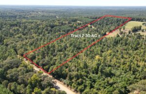 Property photo for land for sale in Cass County Texas