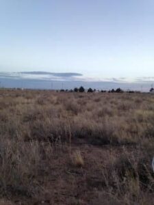 Property photo for land for sale in Torrance County New Mexico