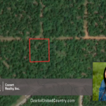 Property photo for land for sale in Izard County Arkansas