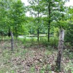 Property photo for land for sale in Hickory County Missouri