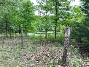 Property photo for land for sale in Hickory County Missouri