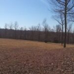 Property photo for land for sale in Clay County Arkansas