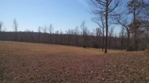 Property photo for land for sale in Clay County Arkansas