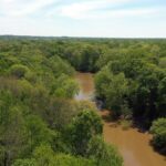 Property photo for land for sale in Hardeman County Tennessee