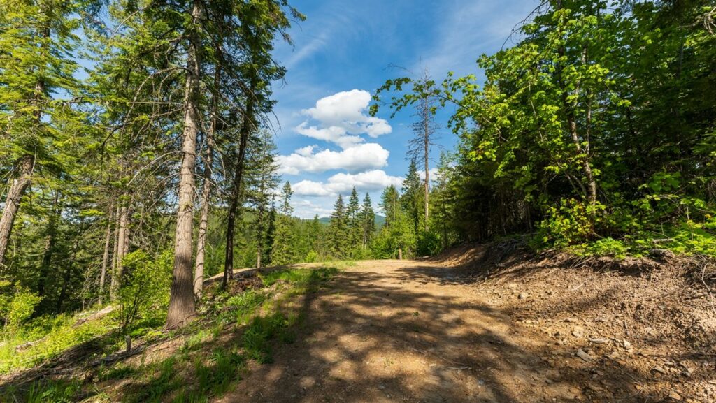 Property photo for land for sale in Kootenai County Idaho