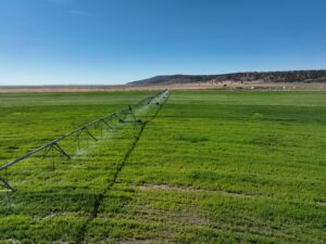 Property photo for land for sale in Harney County Oregon