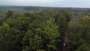 Property photo for land for sale in Newton County Texas