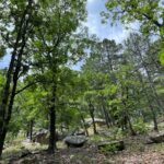 Property photo for land for sale in Atoka County Oklahoma