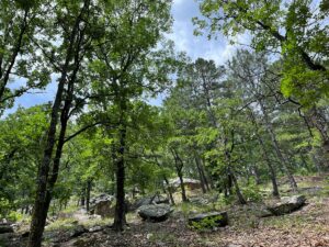 Property photo for land for sale in Atoka County Oklahoma