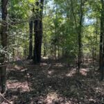 Property photo for land for sale in Jefferson County Mississippi