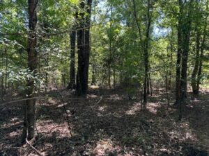 Property photo for land for sale in Jefferson County Mississippi