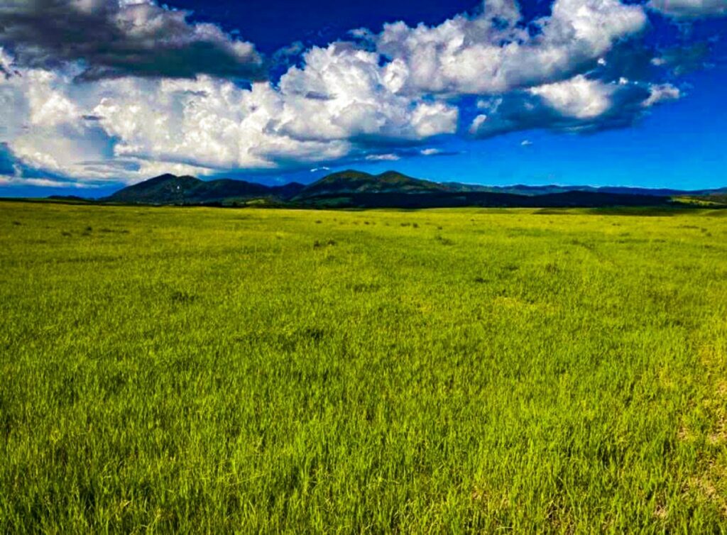 Property photo for land for sale in Fergus County Montana