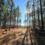 Property photo for land for sale in Le Flore County Oklahoma