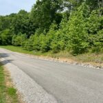 Property photo for land for sale in Clinton County Kentucky