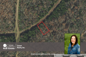 Property photo for land for sale in Izard County Arkansas