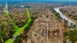 Property photo for land for sale in La Salle County Louisiana