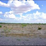 Property photo for land for sale in Ward County Texas