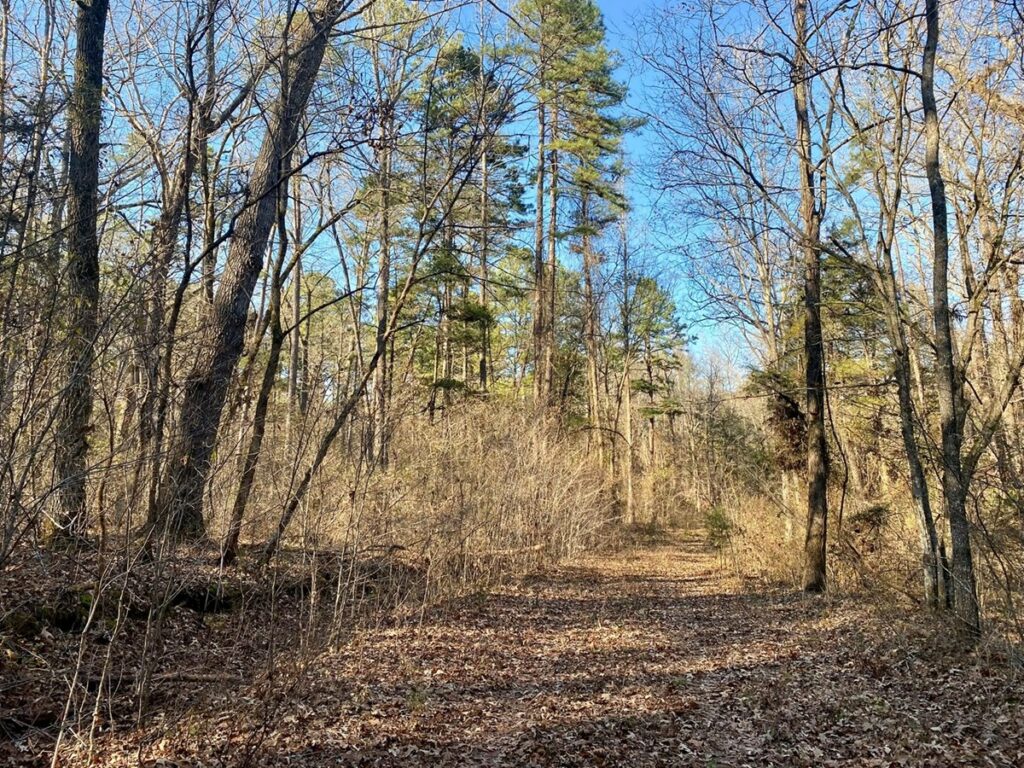 Property photo for land for sale in Stone County Arkansas