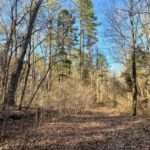 Property photo for land for sale in Stone County Arkansas