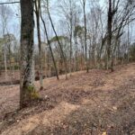 Property photo for land for sale in Allen County Kentucky